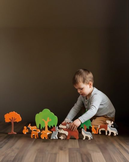 Cassarokids Waldorf Forest Animals